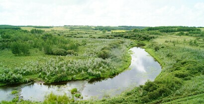 winding river surrounded by green grass and vegetation